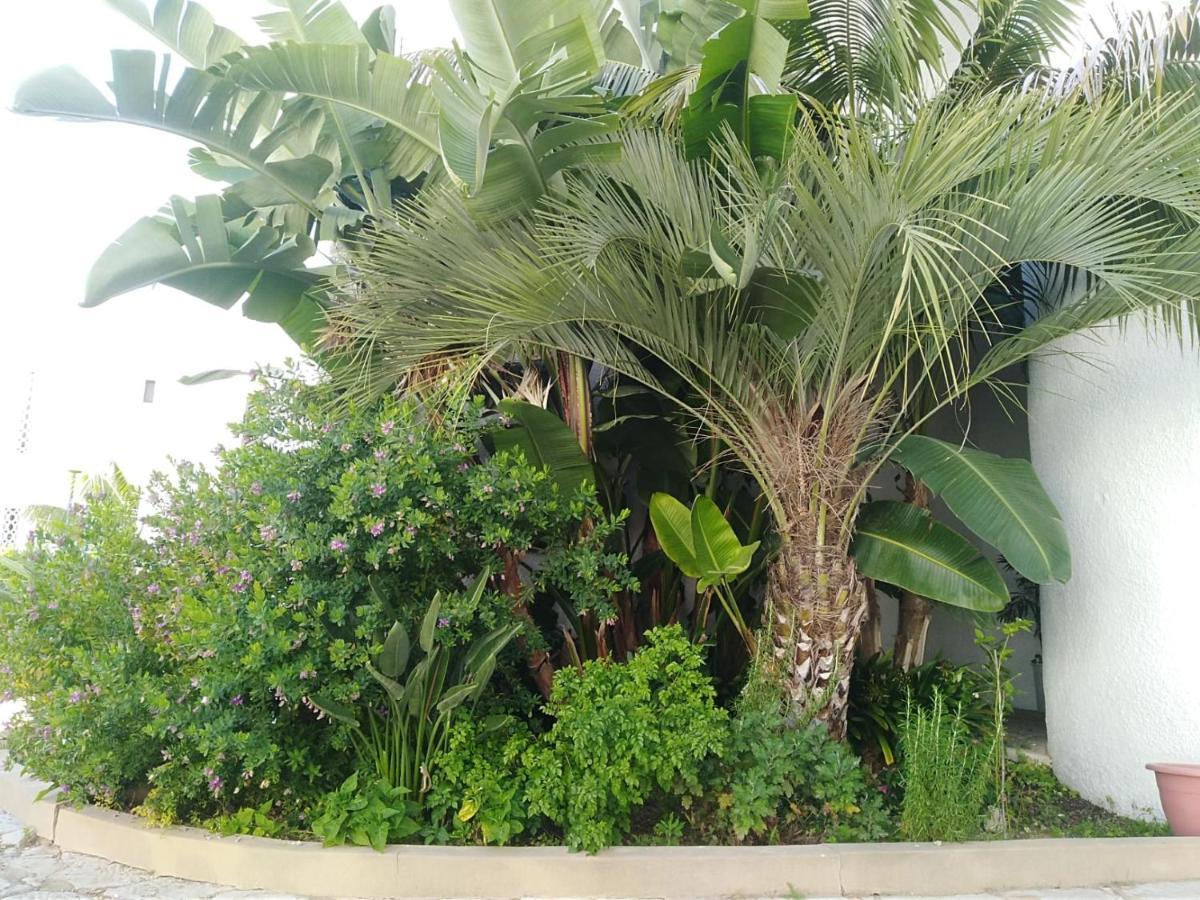 Garden View Vilamoura Apartment Exterior photo